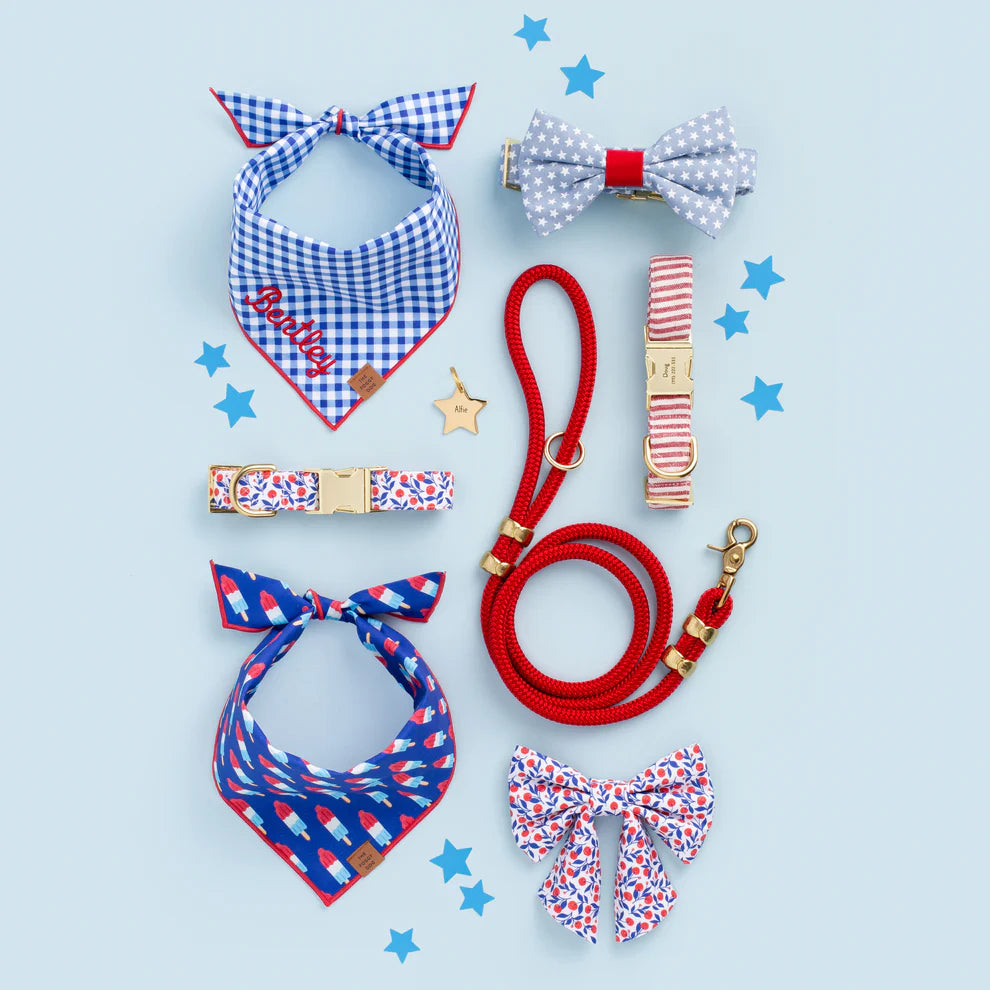 The Foggy Dog - Bandana Dog Rocket Pop