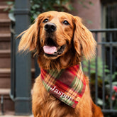 The Foggy Dog - Bandana Dog Orchard Plaid
