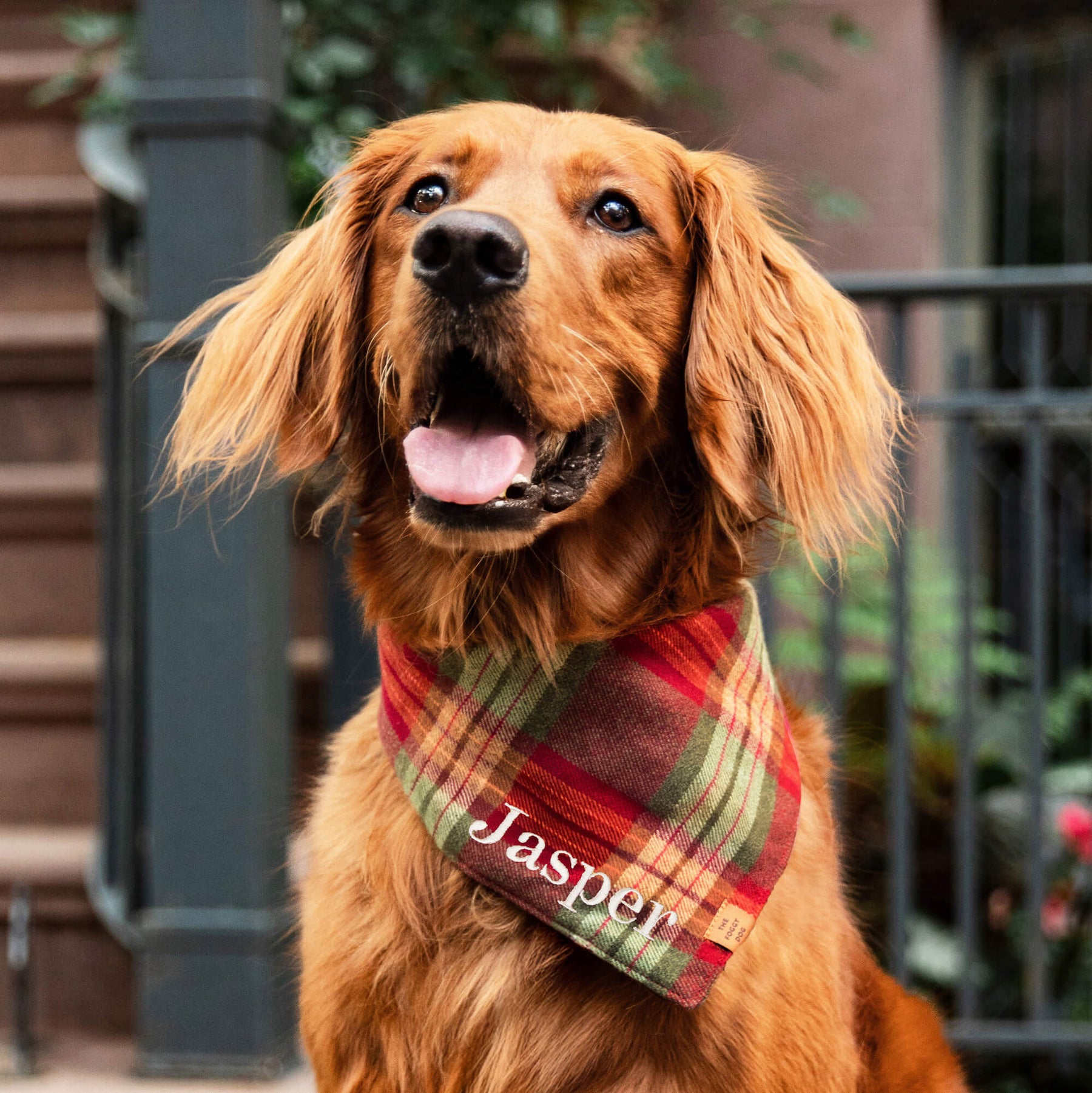 The Foggy Dog - Bandana Dog Orchard Plaid