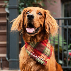 The Foggy Dog - Bandana Dog Orchard Plaid