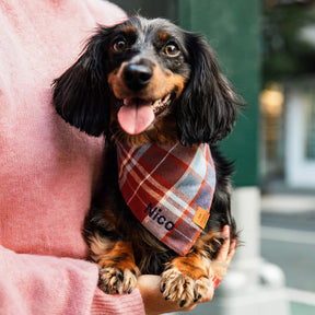 The Foggy Dog - Bandana Dog Maple Plaid Flannel