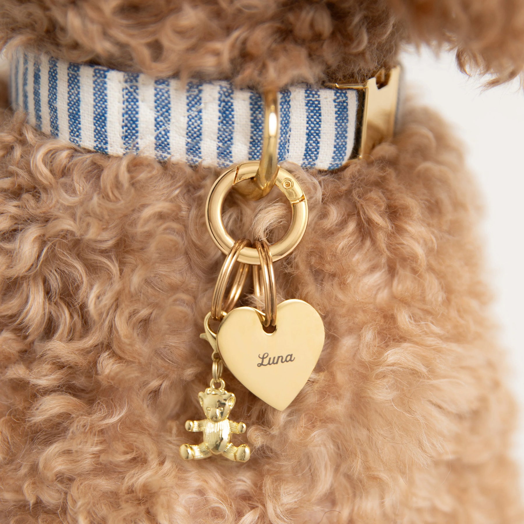 The Foggy Dog - Collar Charm Gold Bear