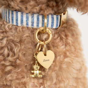 The Foggy Dog - Collar Charm Gold Bear