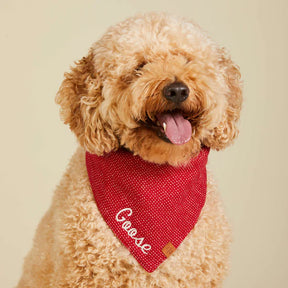 The Foggy Dog - Bandana Dog Berry Stitch Flannel