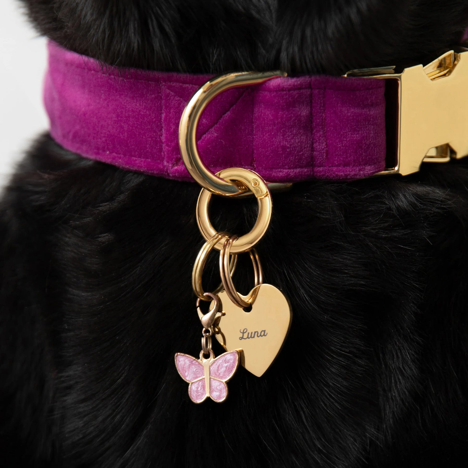 The Foggy Dog - Collar Charm Butterfly