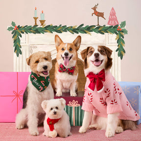 Foggy Dog - Dog Sweater Pink Candy Canes - Southern Agriculture 