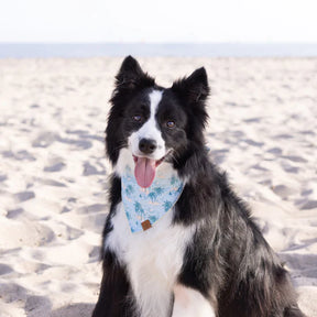 Foggy Dog - Bandana Dog Retro Hawaii - Southern Agriculture 
