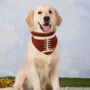 The Foggy Dog - Bandana Dog Football Knit