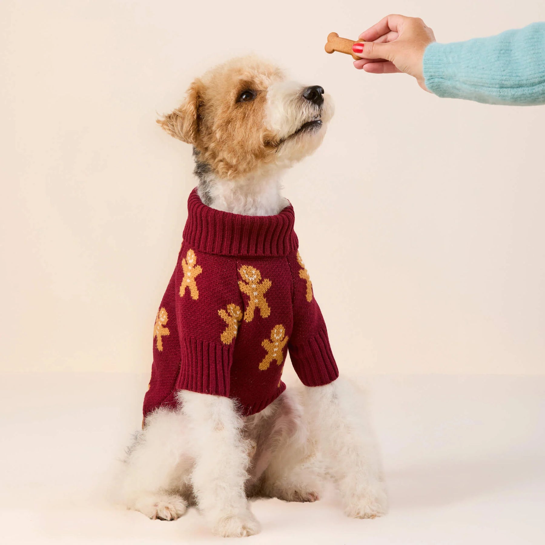 Foggy Dog - Dog Sweater Gingerbread Man - Southern Agriculture 