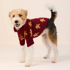 Foggy Dog - Dog Sweater Gingerbread Man - Southern Agriculture 