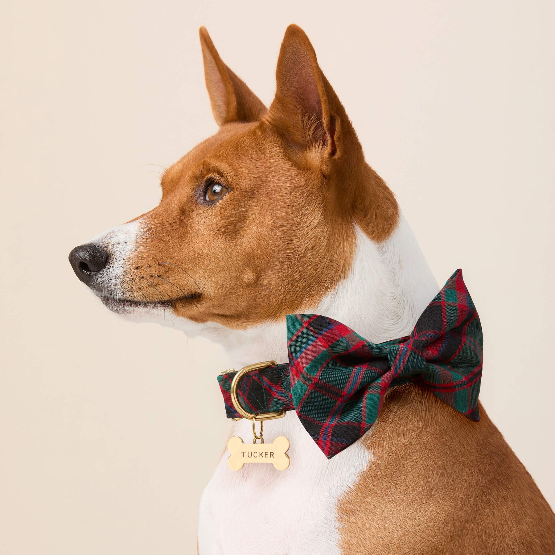 The Foggy Dog - Dog Bow Tie Highland Plaid