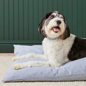 The Foggy Dog - Dog Bed Lake Blue Stripe