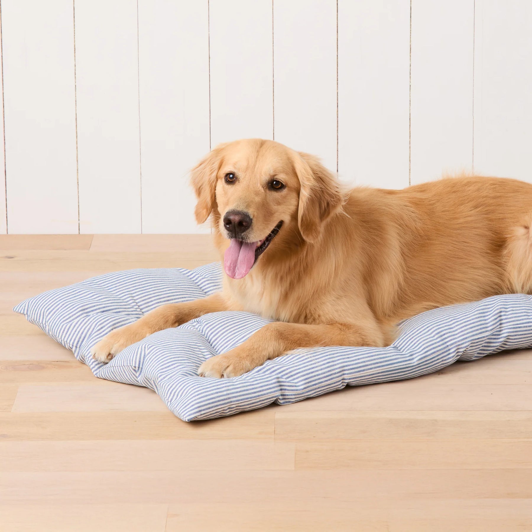Foggy Dog - Dog Travel Mat