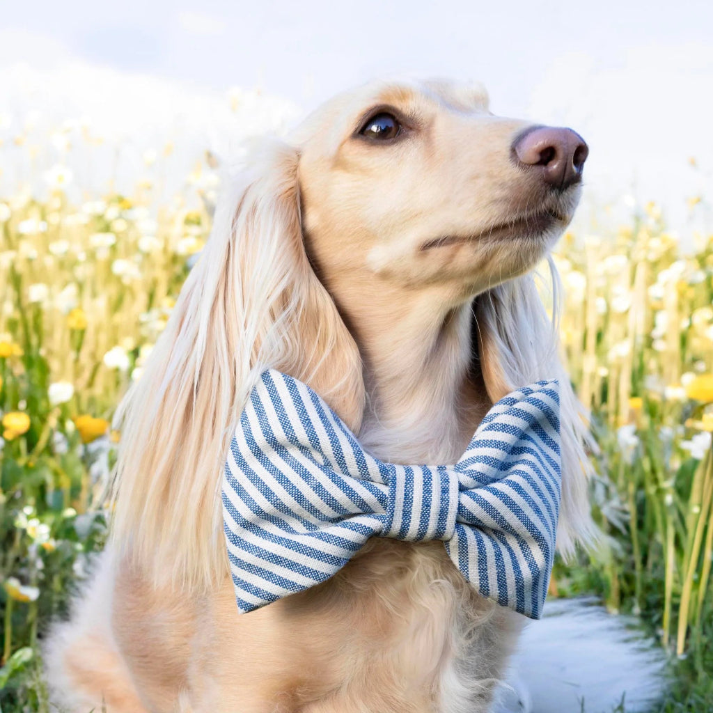 Foggy Dog - Dog Bow Tie Lake Blue Stripe