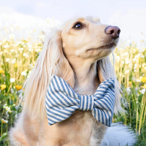 Foggy Dog - Dog Bow Tie Lake Blue Stripe