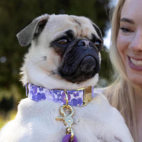 The Foggy Dog - Dog Collar Pressed Pansies