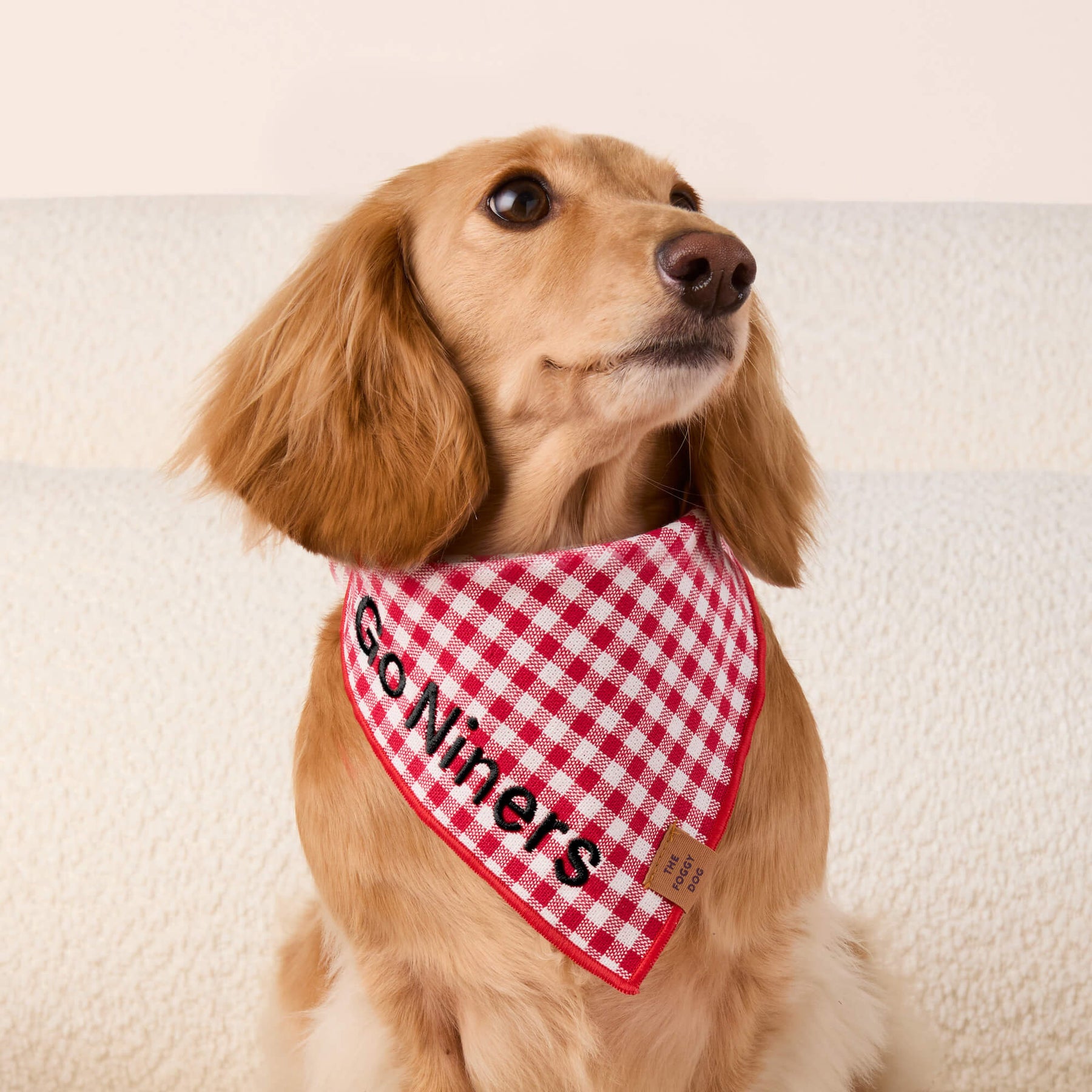 The Foggy Dog - Bandana Dog Red Gingham Summer