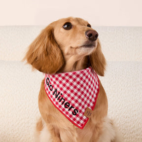 The Foggy Dog - Bandana Dog Red Gingham Summer