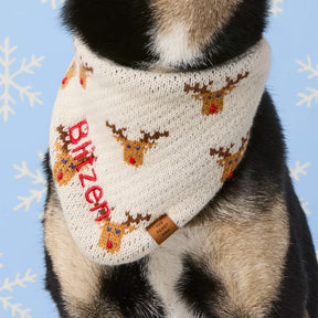 The Foggy Dog - Bandana Reindeer Knit