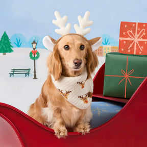 The Foggy Dog - Bandana Reindeer Knit