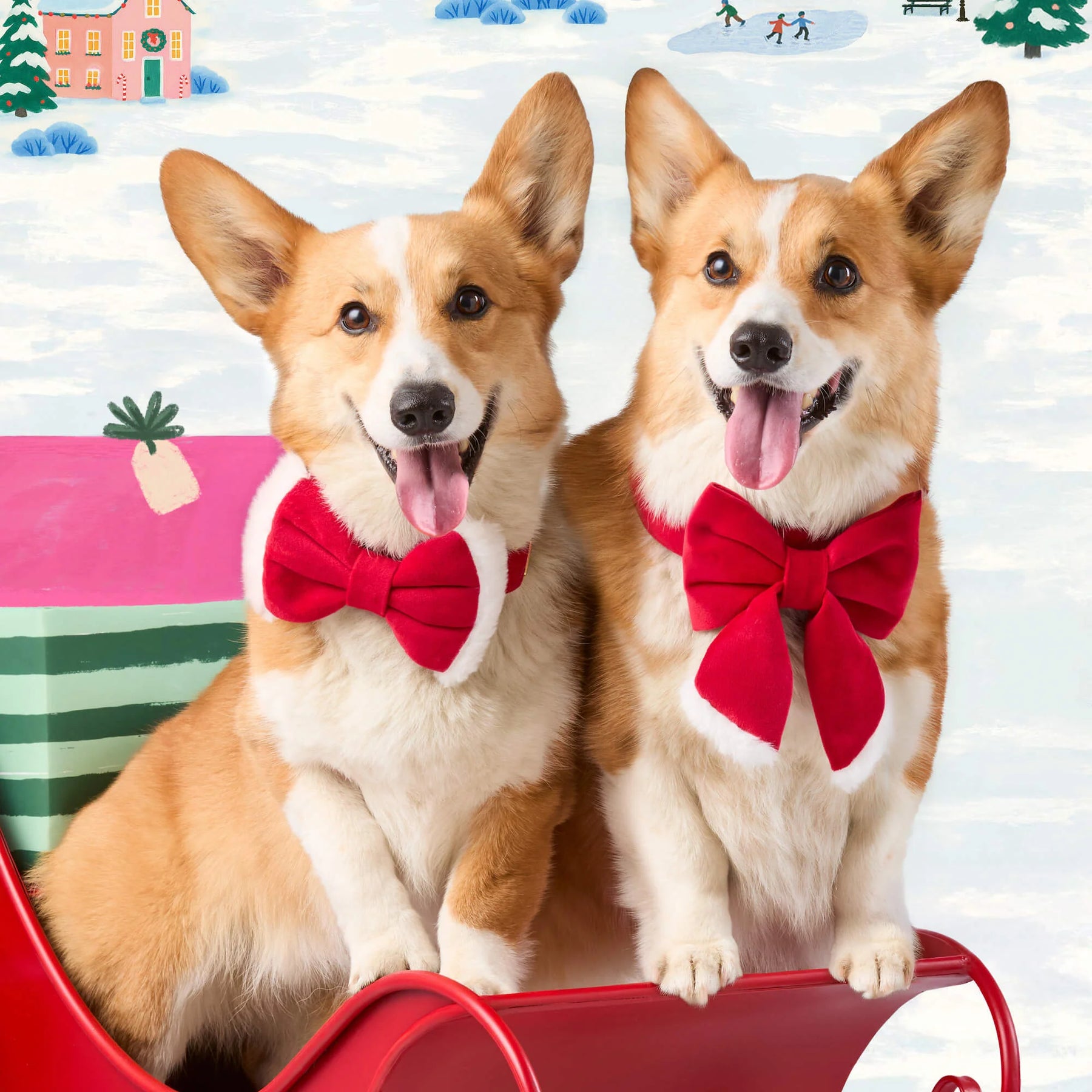 Foggy Dog - Dog Bow Lady Santa Paws
