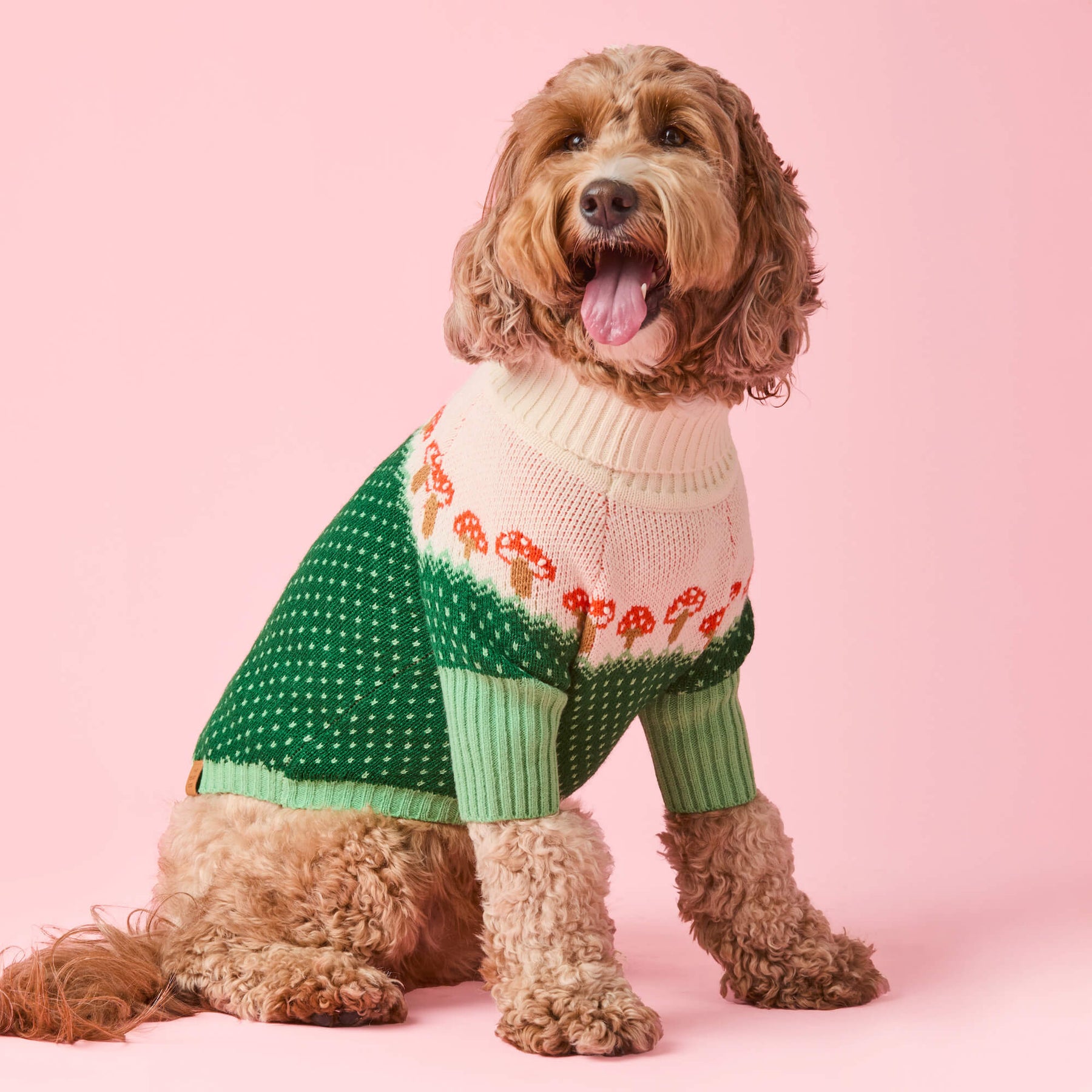 Foggy Dog - Dog Sweater Toadstool - Southern Agriculture 