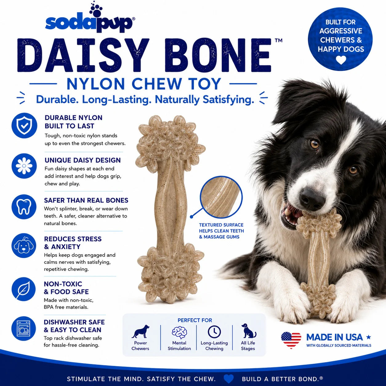 SodaPup - Daisy Bone Nylon Dog