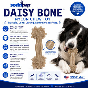 SodaPup - Daisy Bone Nylon Dog