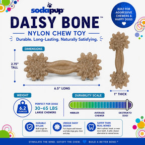 SodaPup - Daisy Bone Nylon Dog