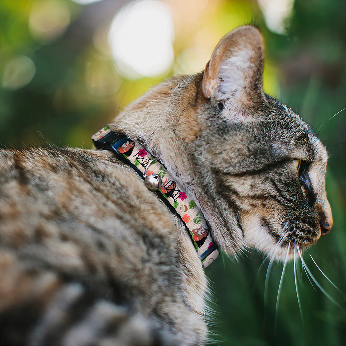 Buckle Down - Cat Collar Breakaway with Bell, Moana Hugging Pua