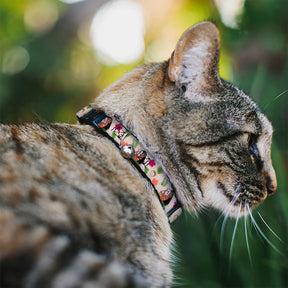 Buckle Down - Cat Collar Breakaway with Bell, Moana Hugging Pua