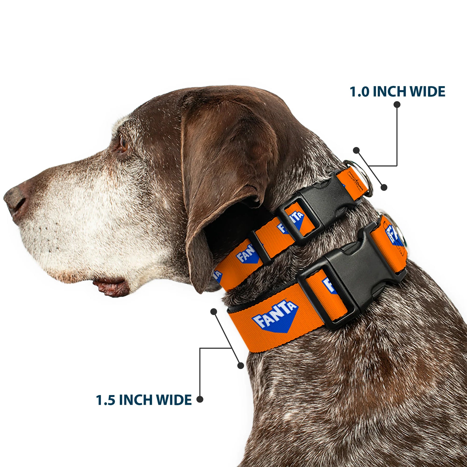 Buckle Down - Collar Nylon Adjustable Fanta