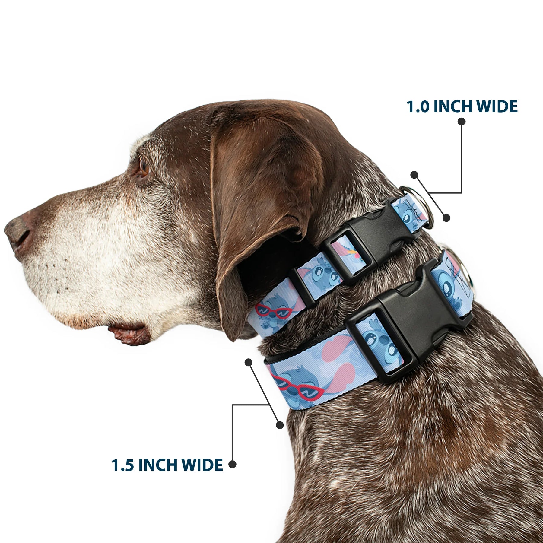 Buckle Down - Collar Nylon Adjustable Baby Stitch