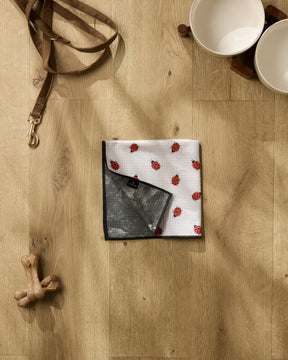Geometry - Paw Towel Bugsy