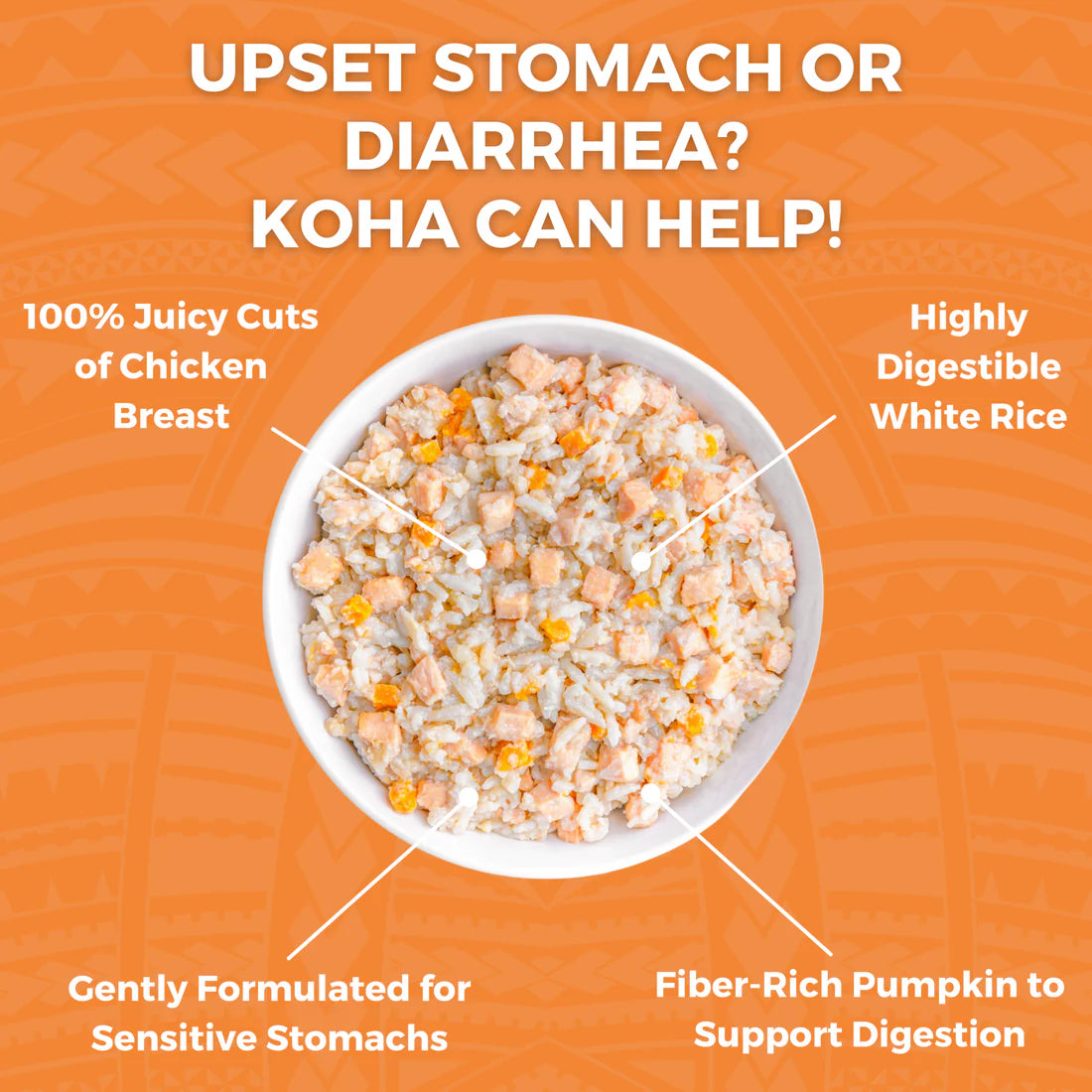 KOHA - Bland Diet Chicken & Rice Pouches Wet Dog Food 12.5 ounces - Southern Agriculture 