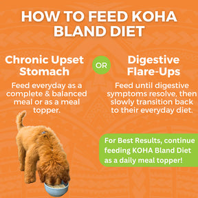 KOHA - Bland Diet Chicken & Rice Pouches Wet Dog Food 12.5 ounces - Southern Agriculture 