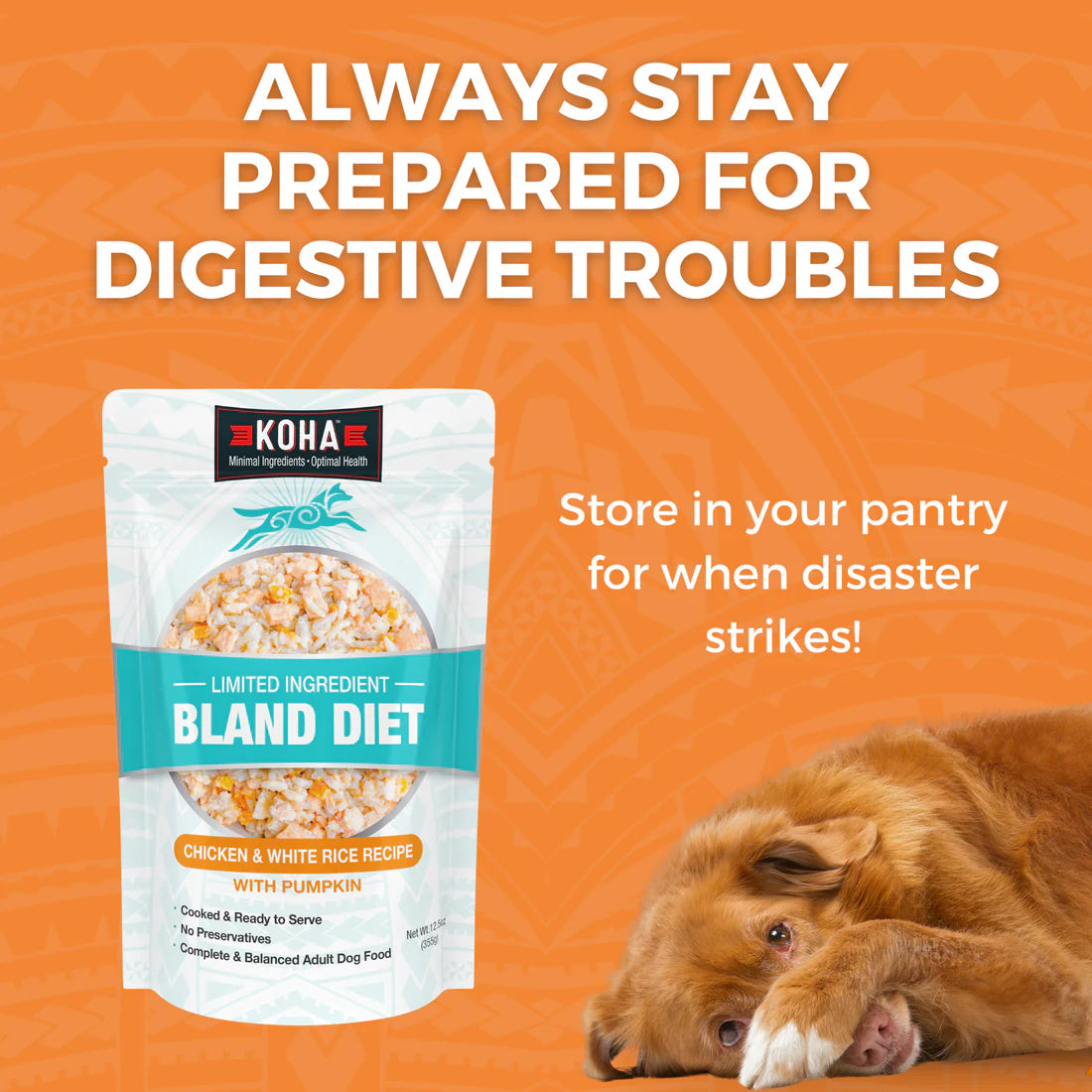 KOHA - Bland Diet Chicken & Rice Pouches Wet Dog Food 12.5 ounces - Southern Agriculture 