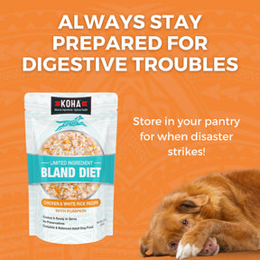 KOHA - Bland Diet Chicken & Rice Pouches Wet Dog Food 12.5 ounces - Southern Agriculture 