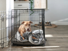 Pet Parents - Pawtect Blanket Chocolate