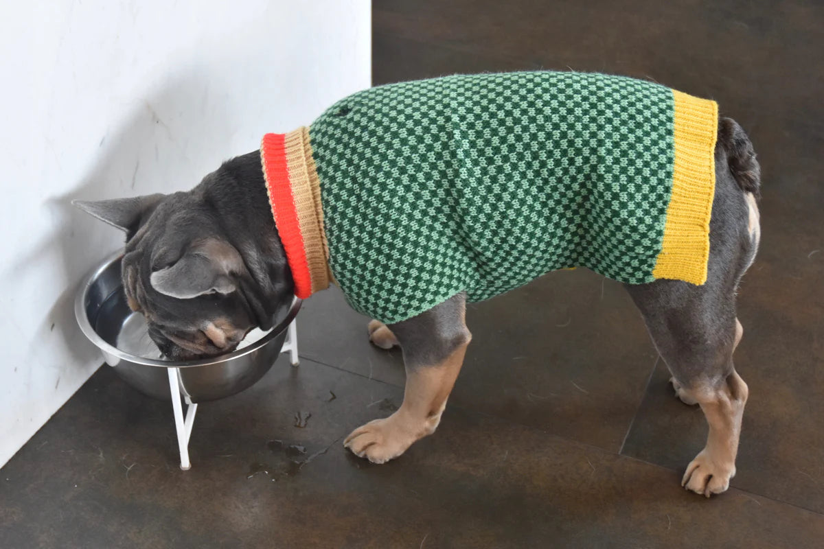 Finnegan's Standard Goods - Sweater Bottle Green Whimsey