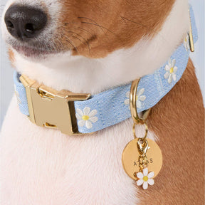 Foggy Dog - Dog Collar Daisy Embroidered