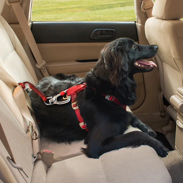 Pet Safe-Kurgo - Swivel Tether