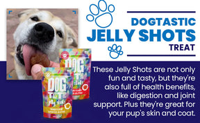 SodaPup - Dogtastic Jelly Shots Silicone Mold - Paw Print