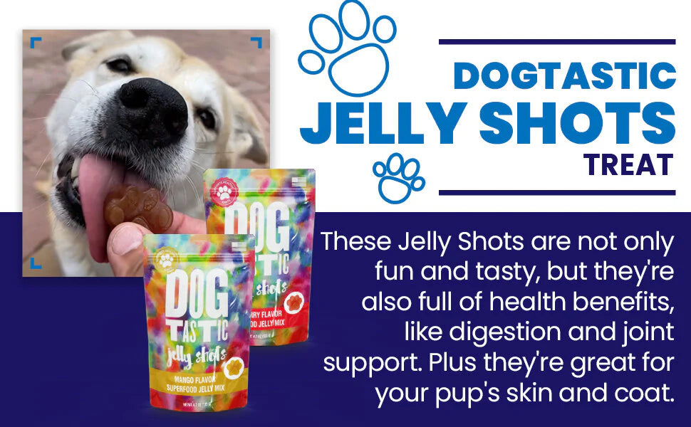 SodaPup - Dogtastic Jelly Shots Silicone Mold - Paw Print