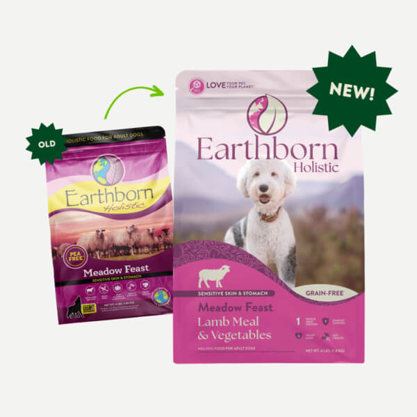 Earthborn Holistic - All Breeds, Adult Dog Meadow Feast Recipe Dry Dog Food - Southern Agriculture 