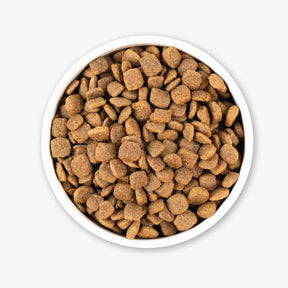 Earthborn Holistic - Coastal Catch Grain Free Dry Dog Food - Southern Agriculture 