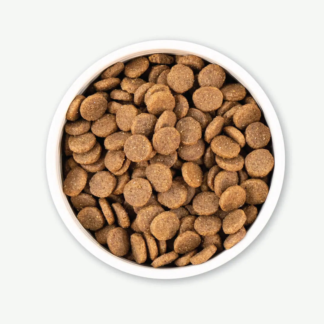 Earthborn Holistic - All Breeds, Adult Dog Great Plains Feast Recipe Dry Dog Food - Southern Agriculture 