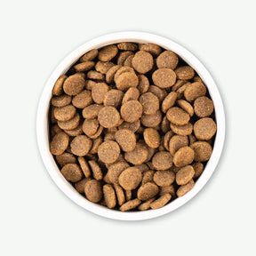 Earthborn Holistic - All Breeds, Adult Dog Great Plains Feast Recipe Dry Dog Food - Southern Agriculture 