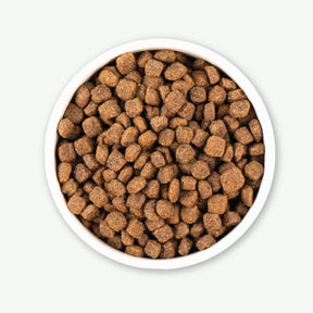 Earthborn Holistic - All Breeds, Adult Dog Meadow Feast Recipe Dry Dog Food - Southern Agriculture 