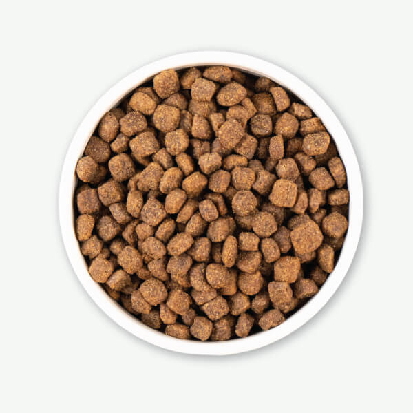 Earthborn Holistic - All Breeds, Adult Dog Meadow Feast Recipe Dry Dog Food - Southern Agriculture 